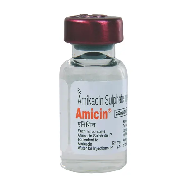 AMICIN 250MG INJ VIAL