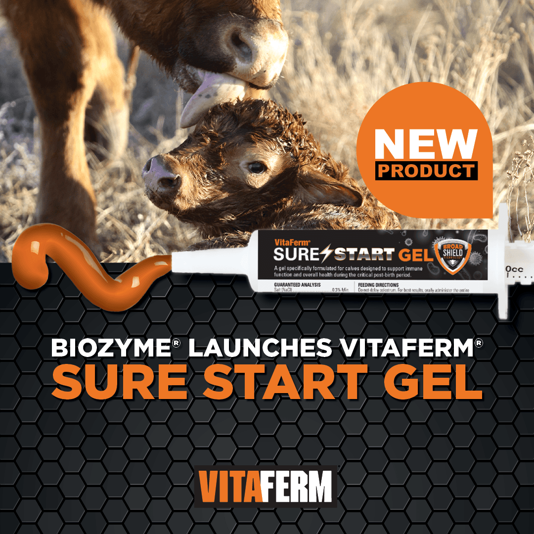 B Sure Vf Sugarfree