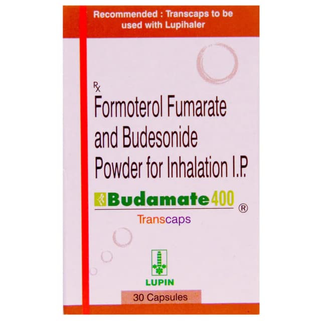 Budamate 400 Trans 30S