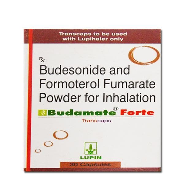 BUDAMATE FORTE