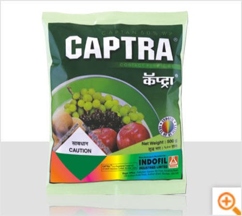 CAPTRA 100 CAPS