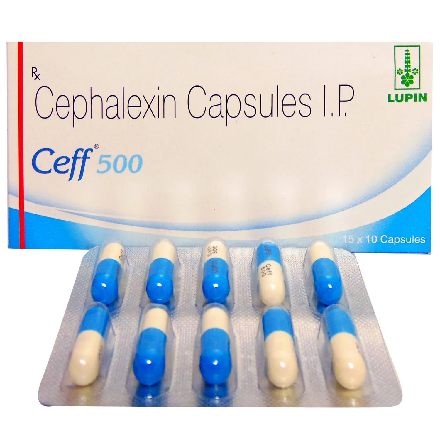 CEFF 500 CAP