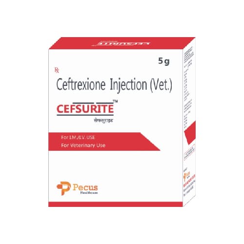 Ceftisure 0 5 | 56 3