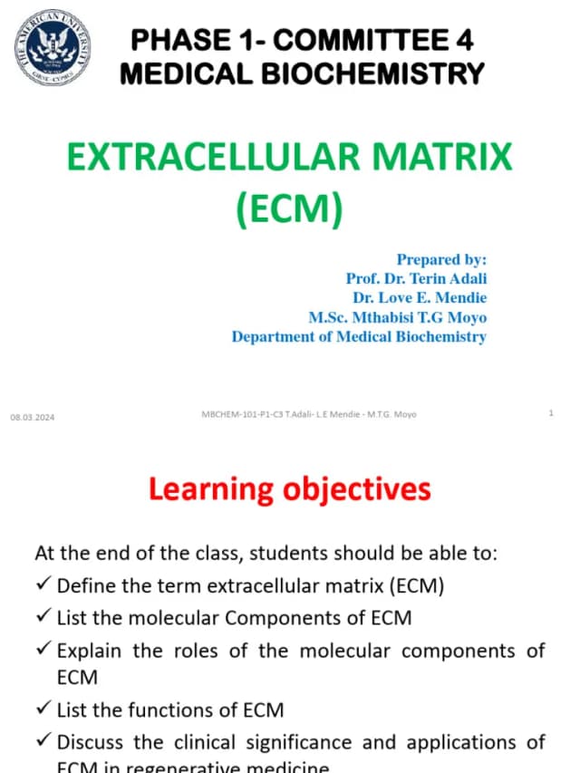 Ecm Tab
