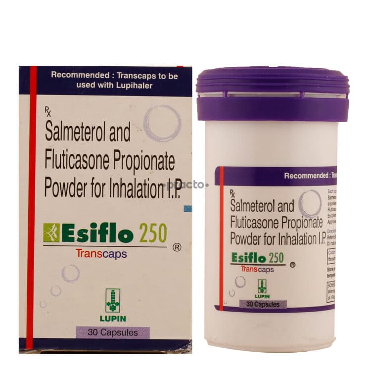 ESIFLO 250 TRANS 30`S