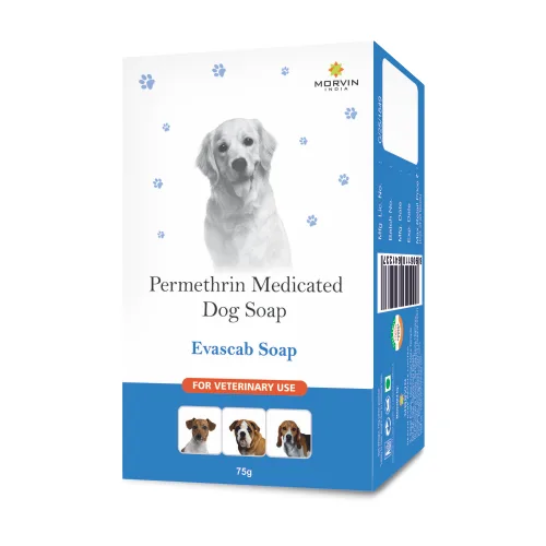 Evascab Medicated Soap