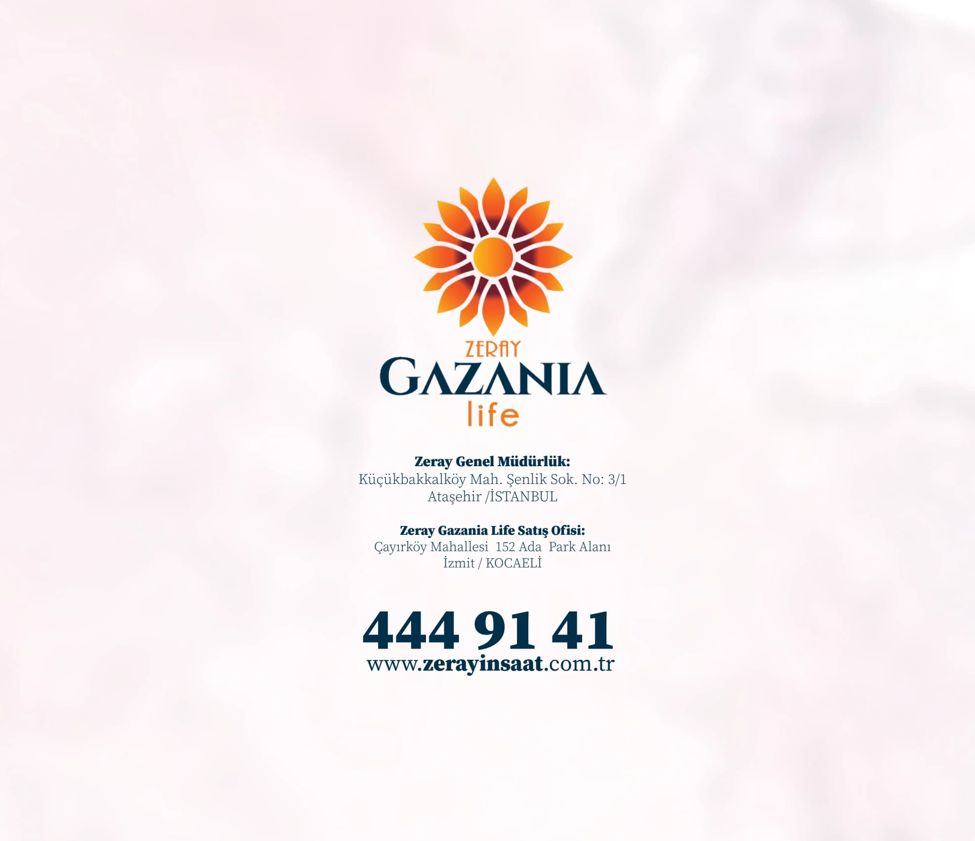 GAZANIA TAB