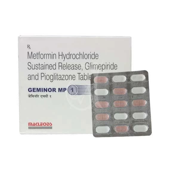 GEMINOR MP 1 LS