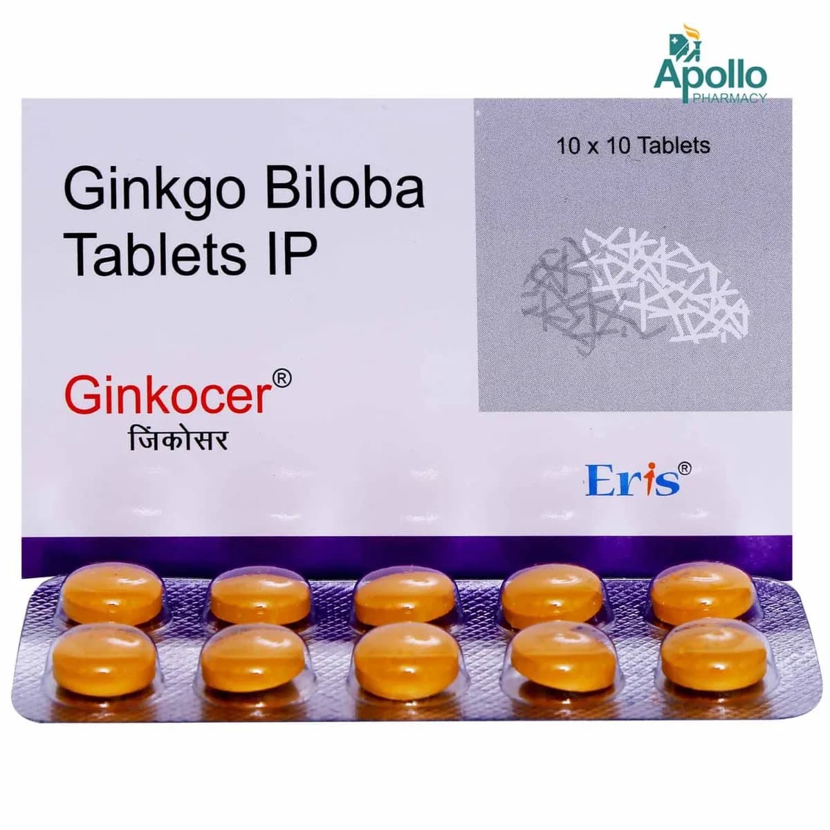 GINKOCER 120MG