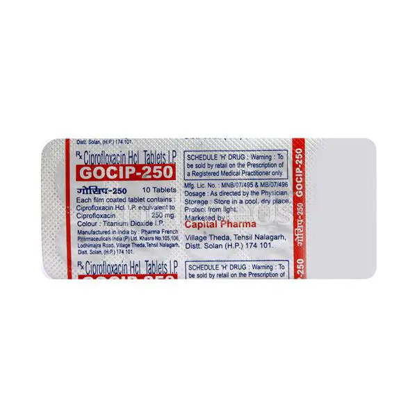 GOCIP - TZ TAB 10`S