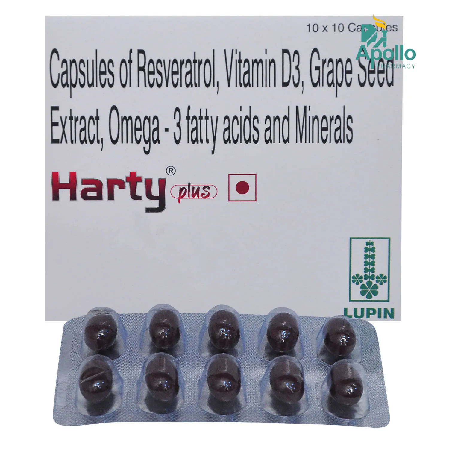 HARTY PLUS CAP