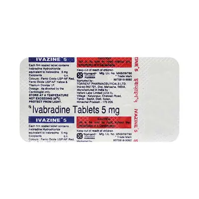 IVAZINE 5