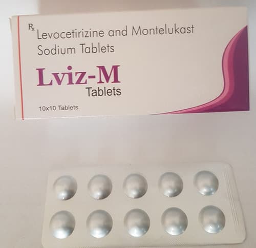 LEVIZ M