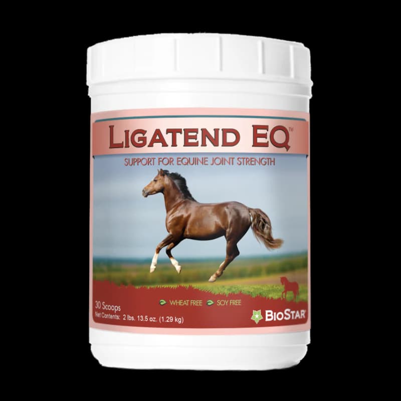 Ligatend Tab