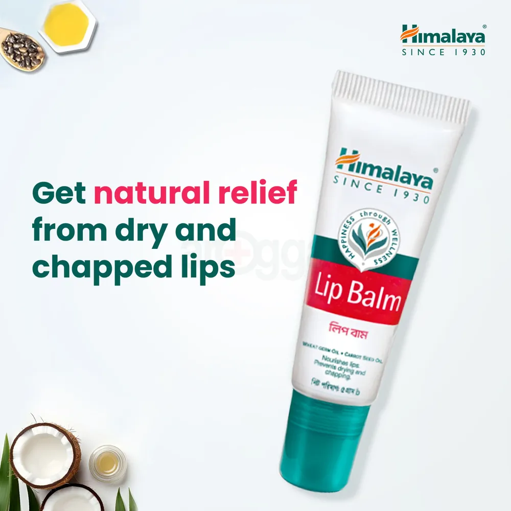 Lip Balm 5G Jar (1X22N) (20N+2N Free)