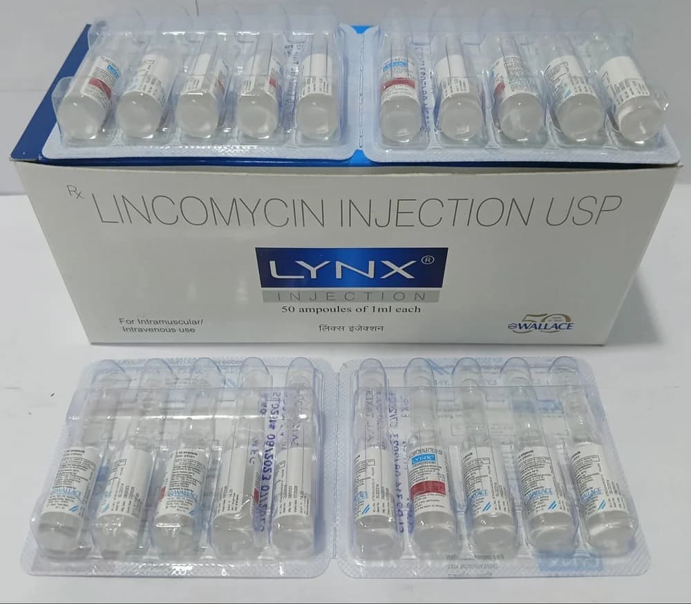 LYNX SUSPENSION