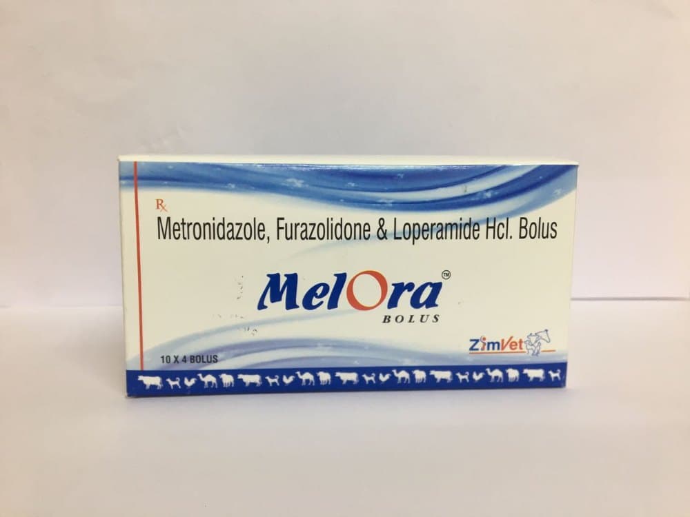 MELORA TAB