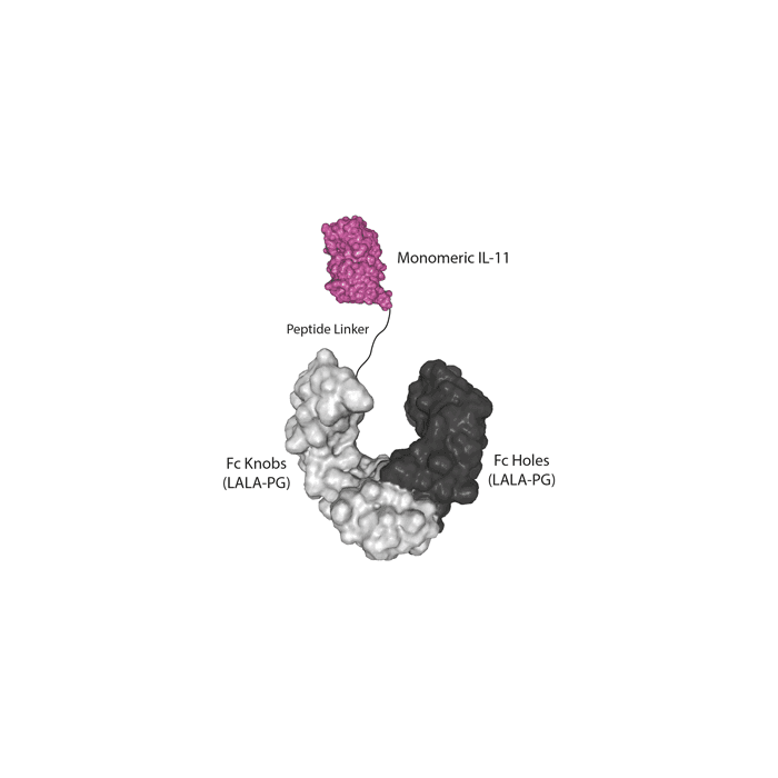 MONOMER