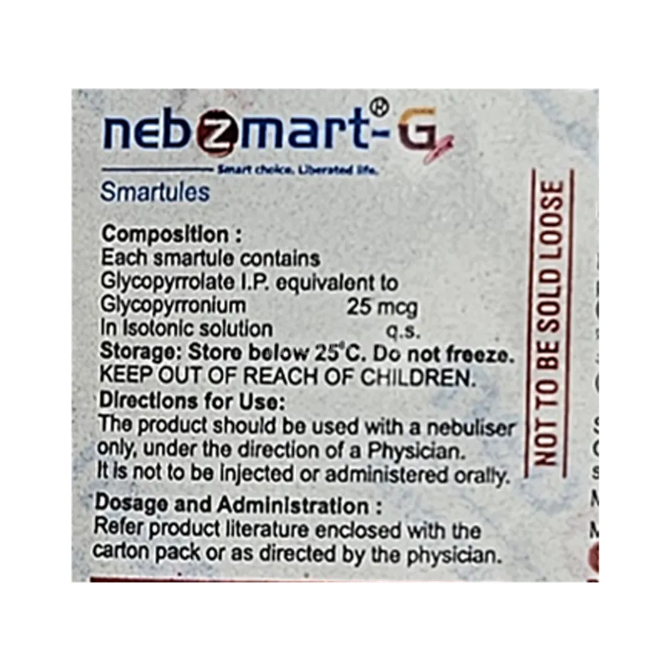 NEBZMART-GFB SMARTULES