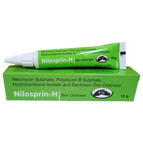 Neosporin H Ointment