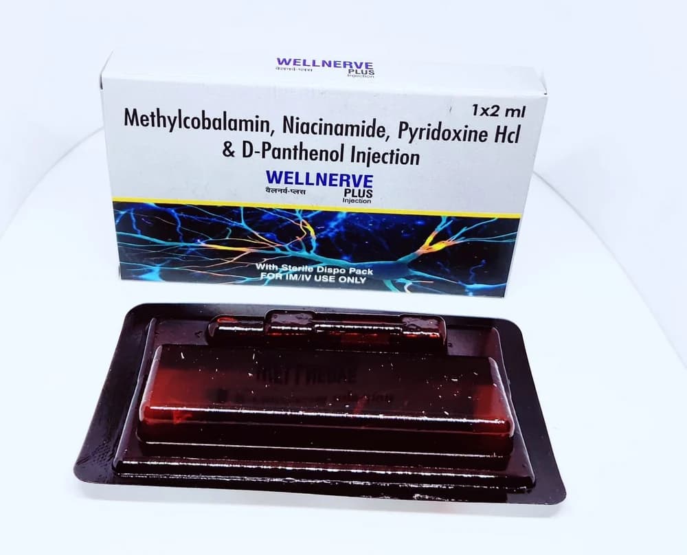 PALNERVE PLUS INJ