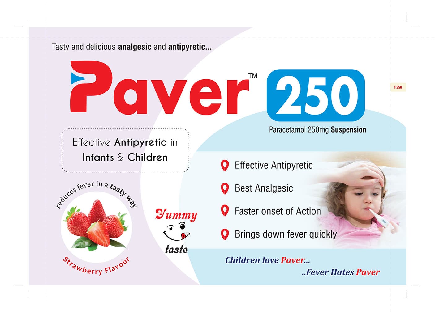 PAVER 250 SUSPENSION