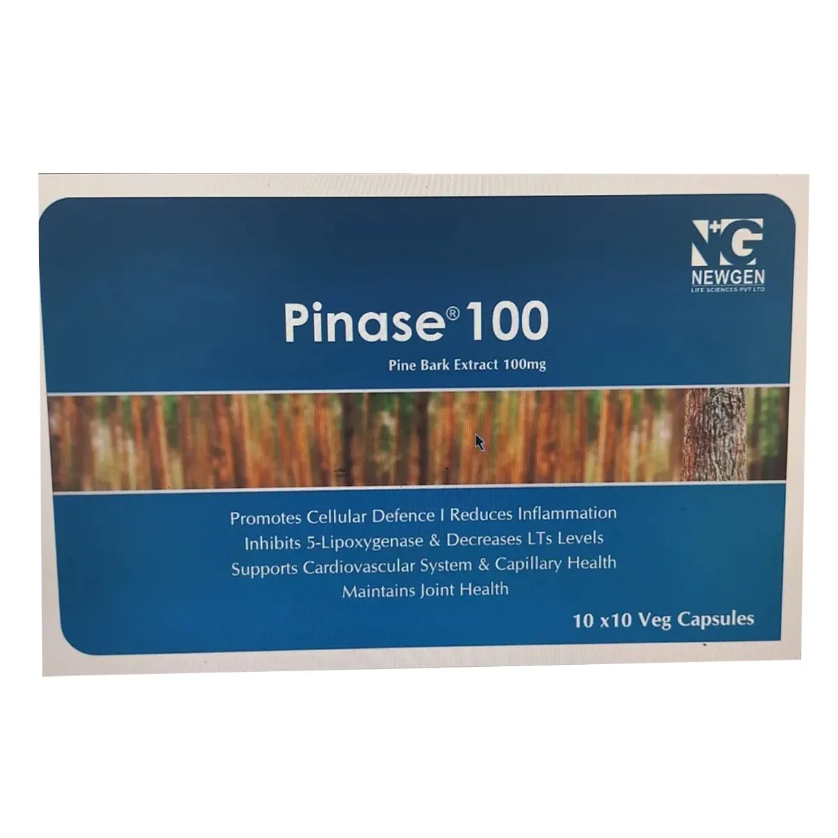 PINASE 100MG CAP