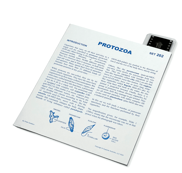 Prozoa Tab