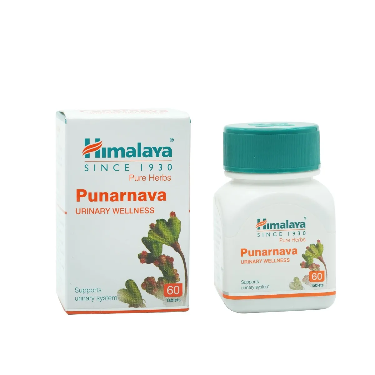 PUNARNAVA TAB