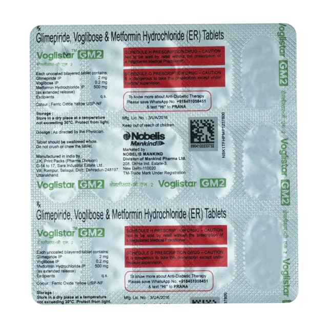 VOGLISOOR GM2 TAB