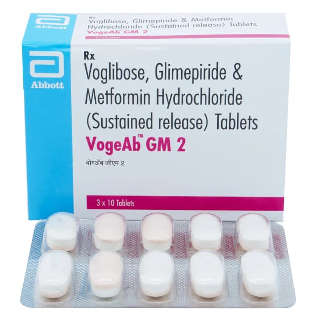 VOGWAY GM 2 TAB
